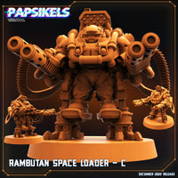 Pap-221210 Rambutan space loader c