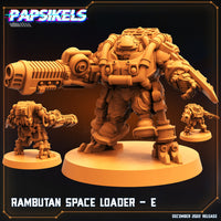 Pap-221212 Rambutan space loader e