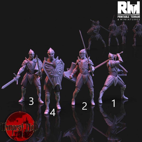 RM-tempm042 Frost Elves Foot Soldiers ４スタイル