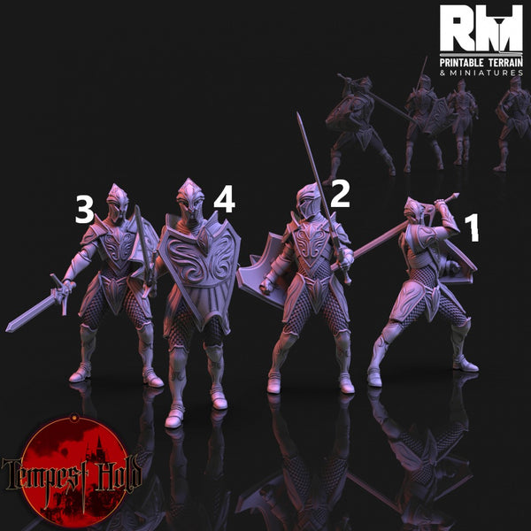 RM-tempm058 Frost Elves Foot Soldiers