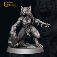 Gaa-211009 Werewolf02
