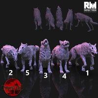 RM-tempm084 Zombie Wolves