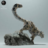 Anml-221217 Snow Leopard Rock