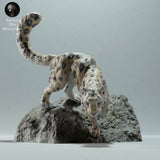 Anml-221217 Snow Leopard Rock