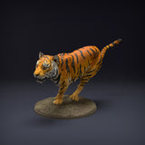Anml-220804 Bengal Tiger Run