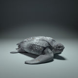 Anml-220907 Leatherback_Sea_Turtle_Ground