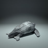 Anml-220907 Leatherback_Sea_Turtle_Ground